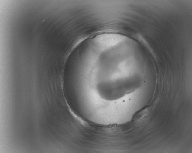 X0000063471433200602031848