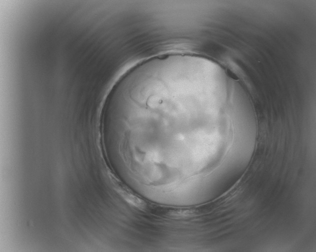 X0000063471435200602031848