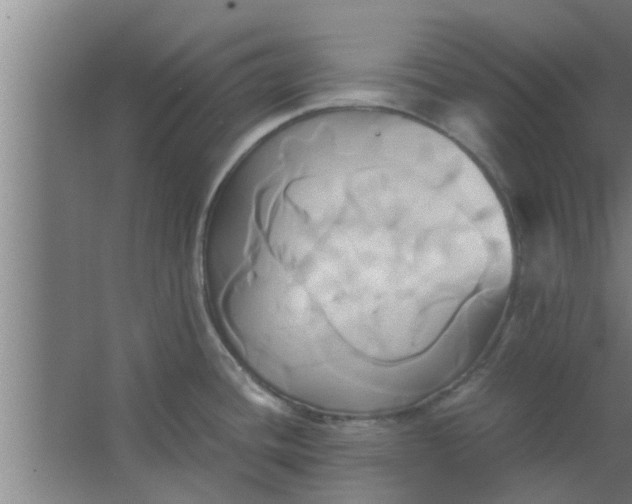 X0000063471436200602031848