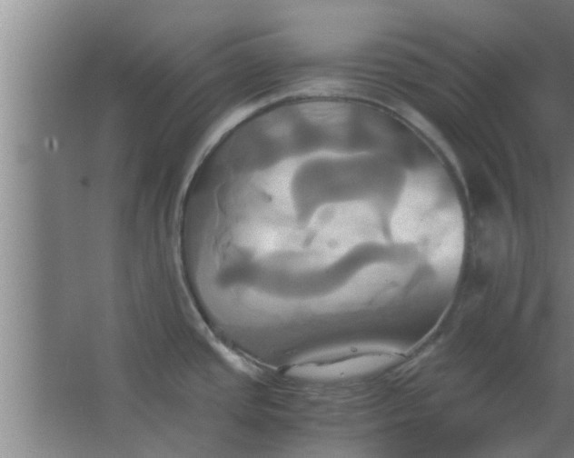 X0000063471437200602031848