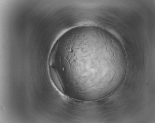 X0000063471440200602031848