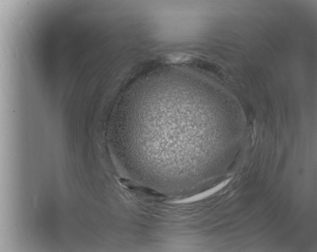 X0000063471441200602031847