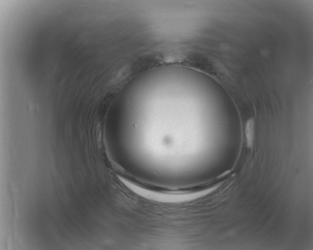 X0000063471443200602031847