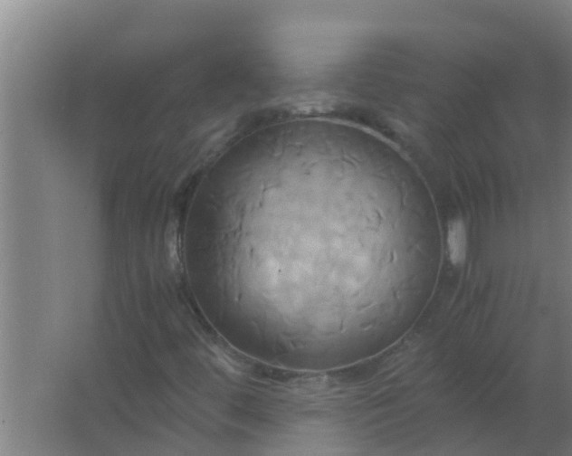 X0000063471444200602031847