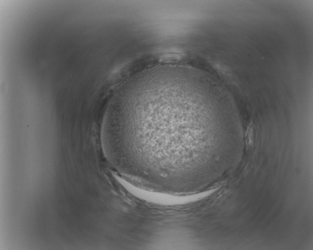 X0000063471445200602031847