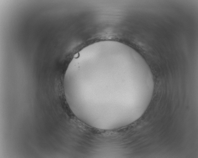 X0000063471446200602031847