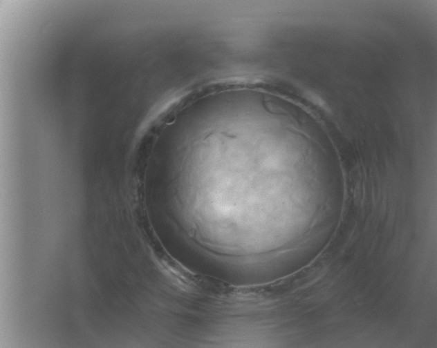 X0000063471448200602031847