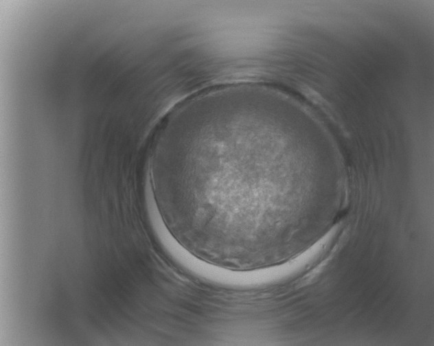 X0000063471449200602031847