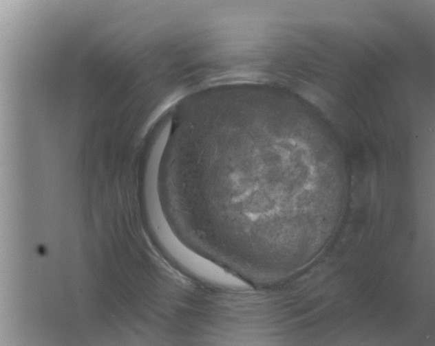 X0000063471450200602031847