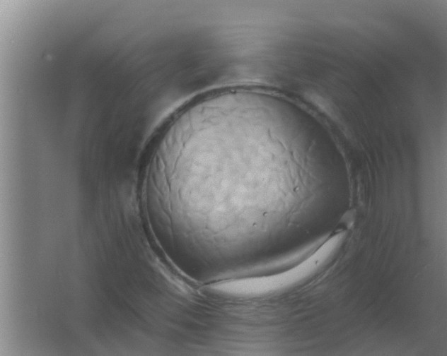 X0000063471452200602031847