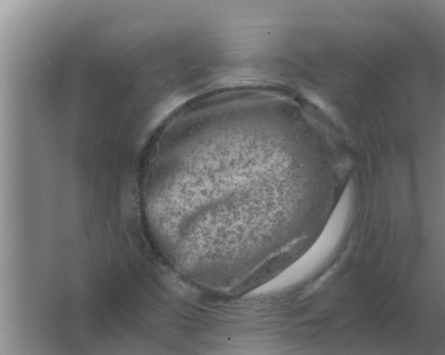 X0000063471453200602031847