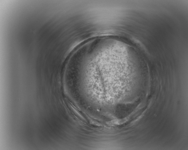 X0000063471457200602031847