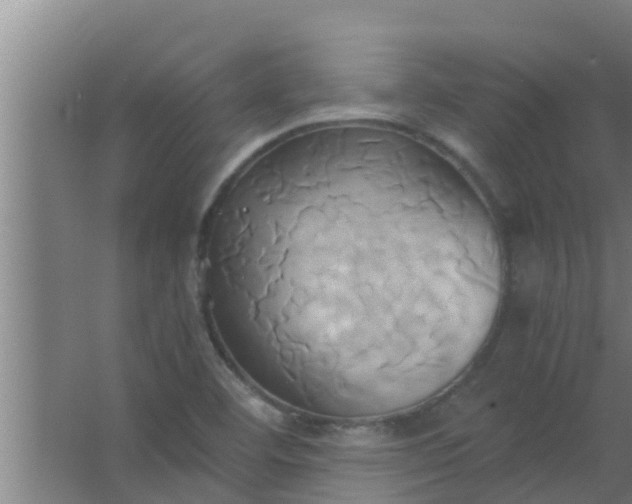 X0000063471460200602031847