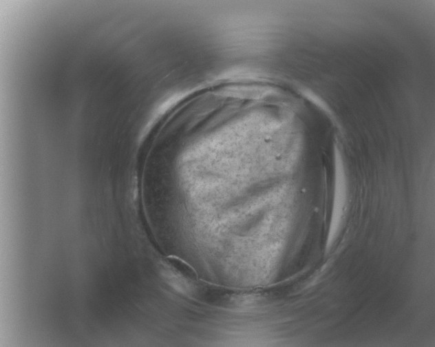 X0000063471461200602031847