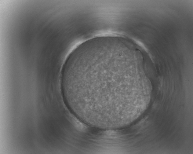 X0000063471463200602031847