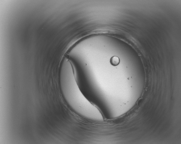 X0000063471465200602031847