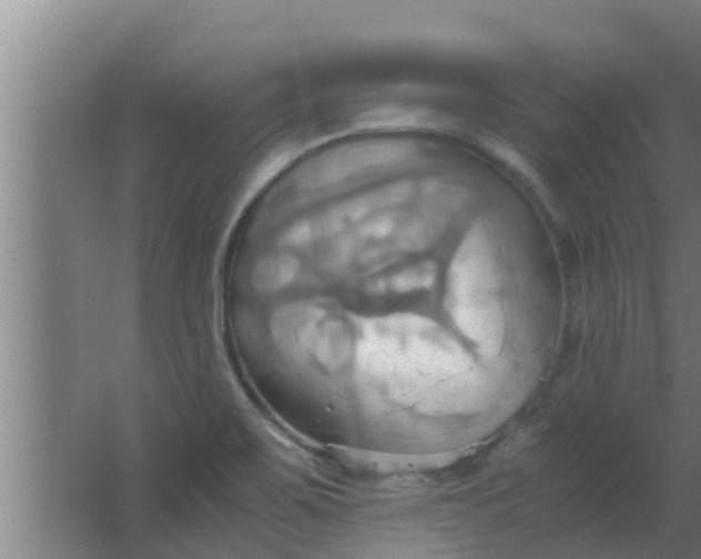 X0000063471467200602031847