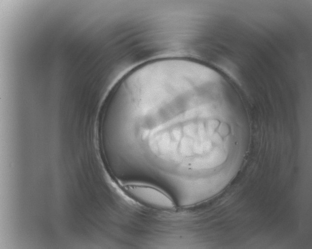 X0000063471468200602031847