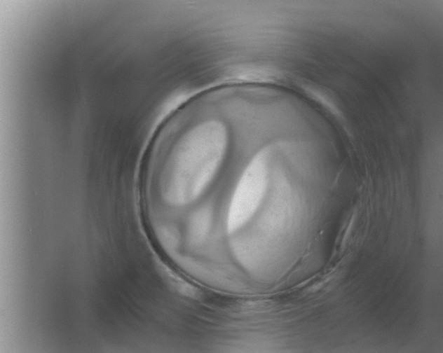 X0000063471471200602031847