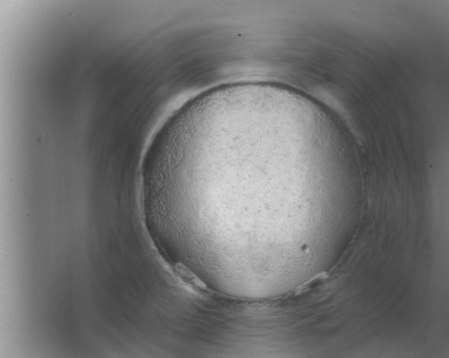 X0000063471472200602031847