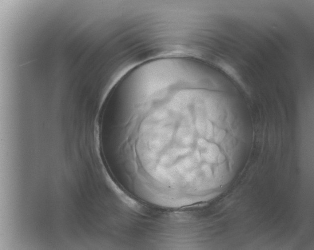 X0000063471476200602031847