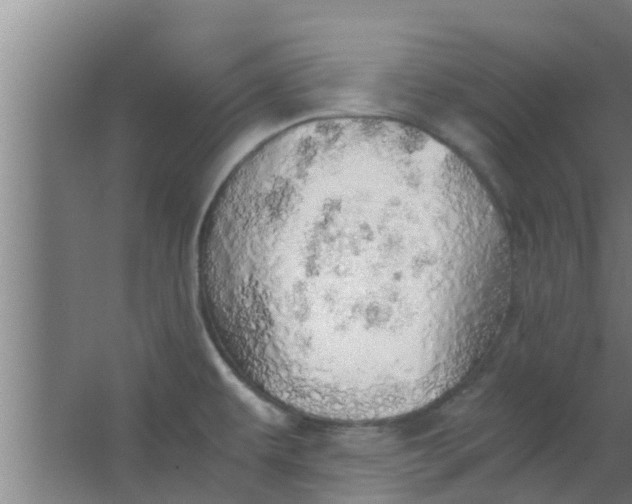 X0000063471479200602031847