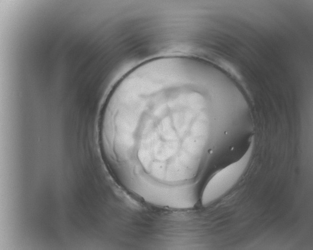 X0000063471480200602031847