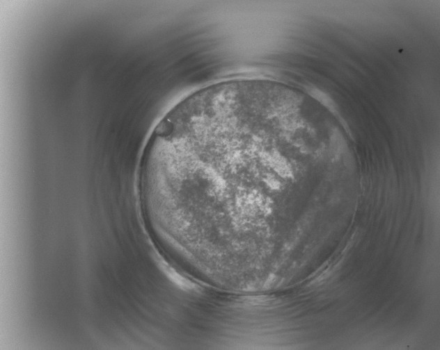 X0000063471482200602031847