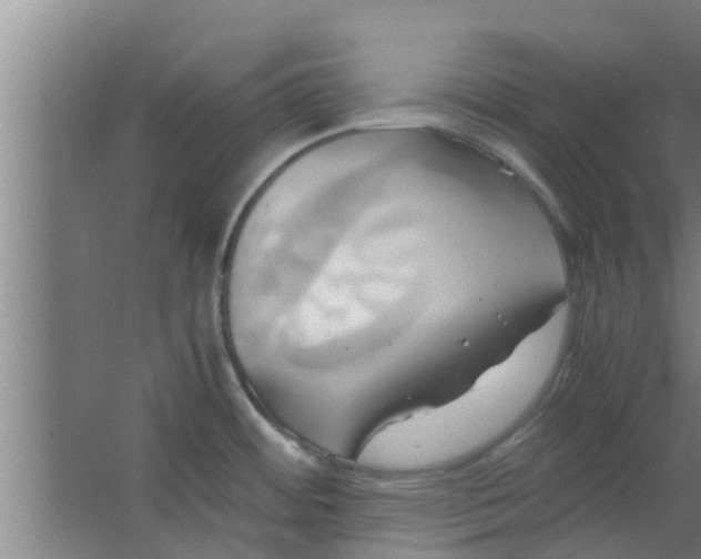 X0000063471484200602031847