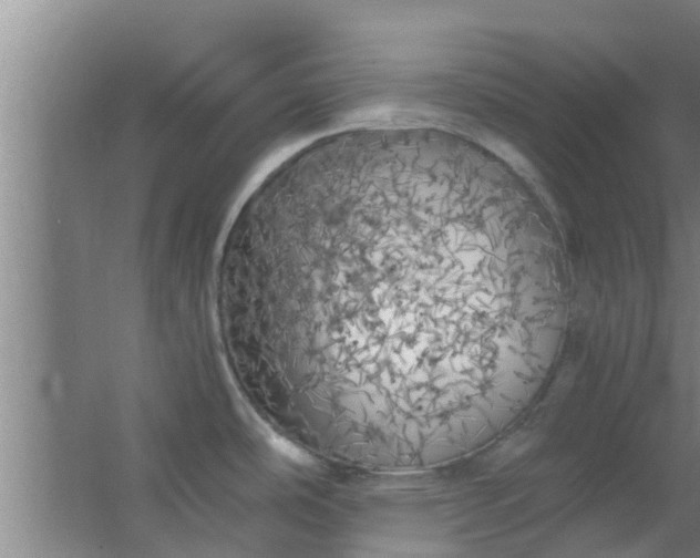 X0000063471486200602031847