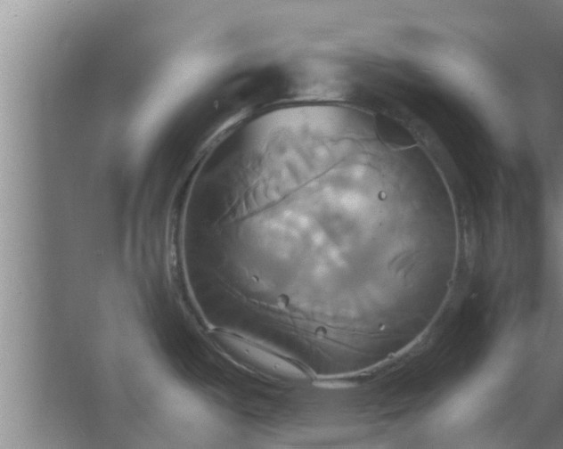 X0000063471487200602031847