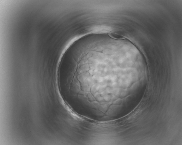 X0000063471488200602031847