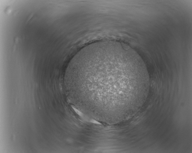 X0000063471490200602031846