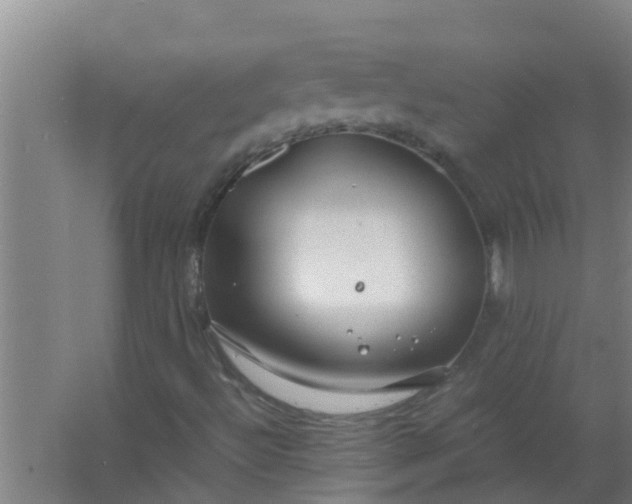 X0000063471492200602031846