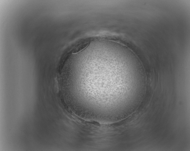 X0000063471493200602031846