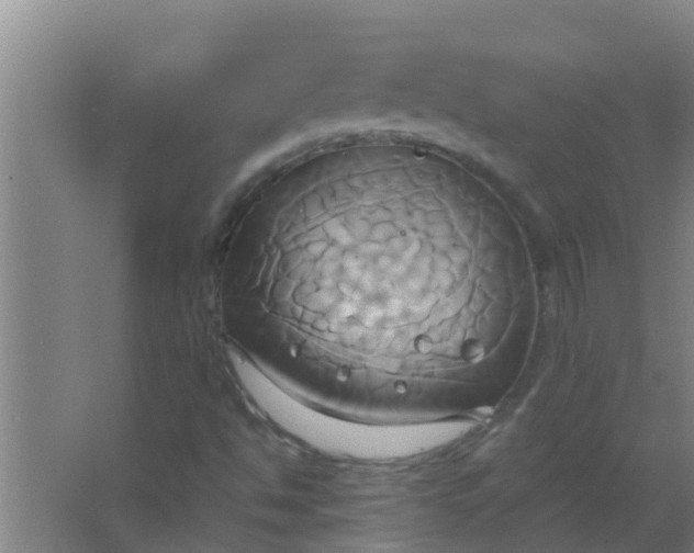 X0000063471494200602031846