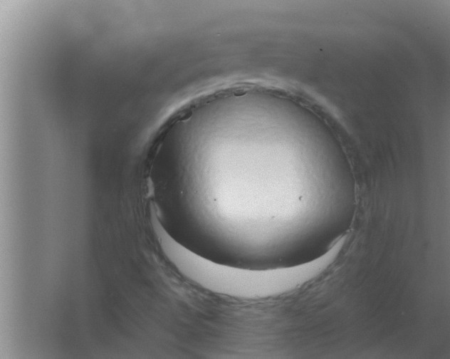 X0000063471496200602031846