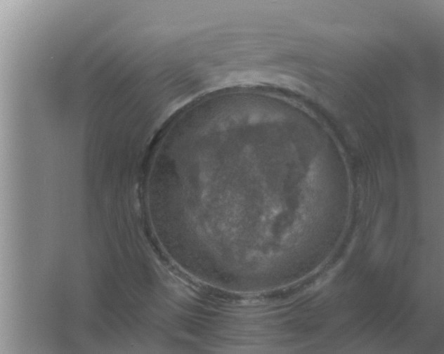 X0000063471497200602031846