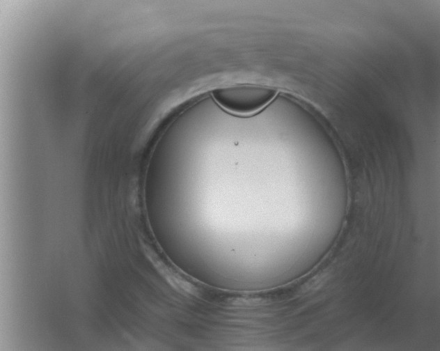 X0000063471499200602031846