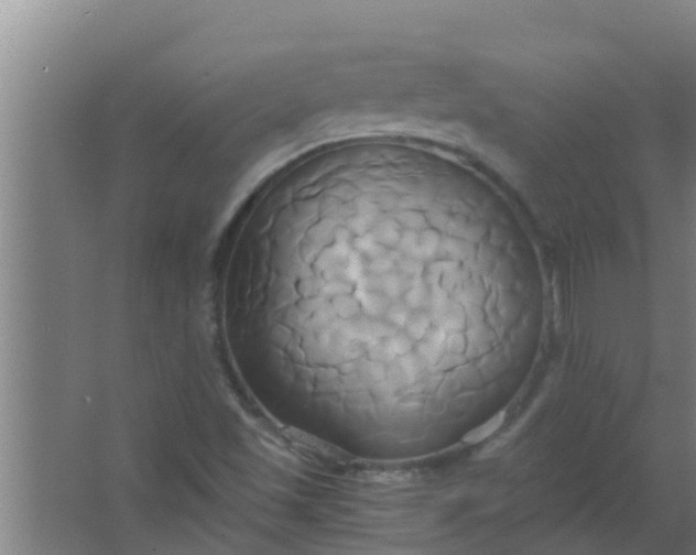 X0000063471501200602031846