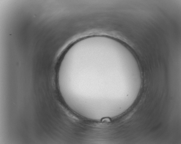 X0000063471502200602031846