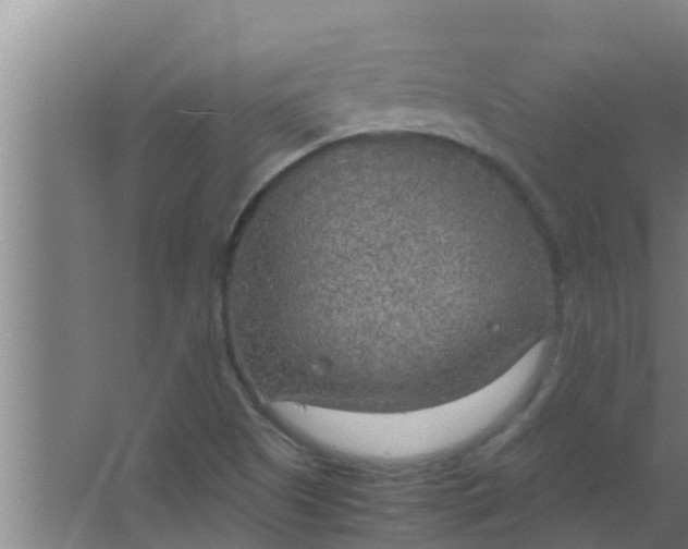 X0000063471505200602031846