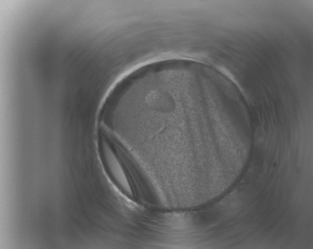 X0000063471508200602031846