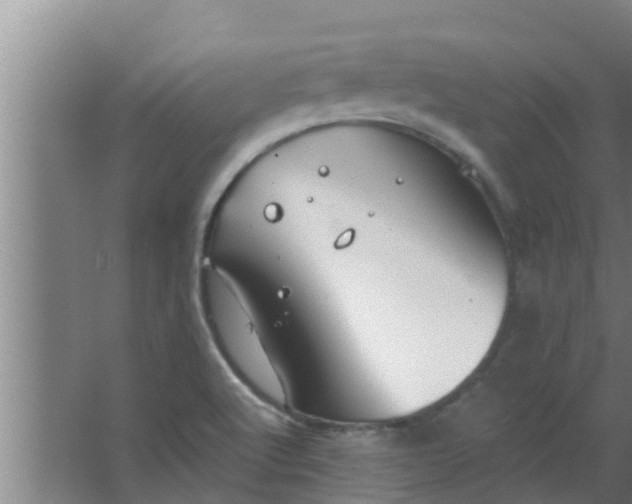 X0000063471512200602031846