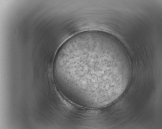 X0000063471513200602031846