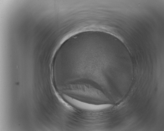 X0000063471515200602031846