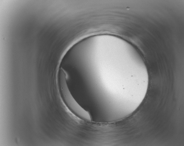 X0000063471516200602031846