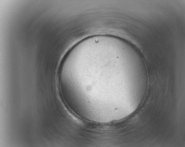 X0000063471517200602031846