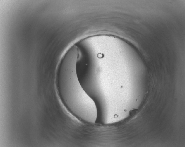 X0000063471518200602031846