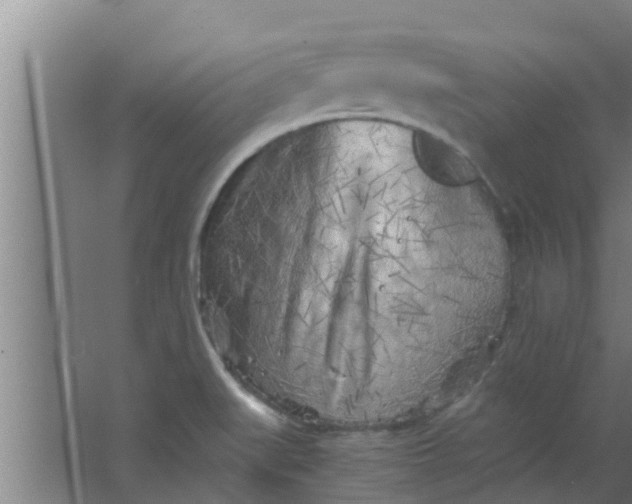 X0000063471519200602031846